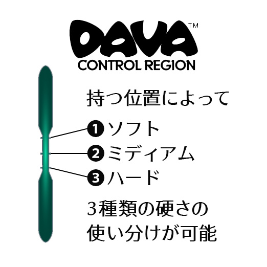 DAVA Control Region