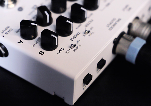 EBS STANLEY CLARKE SIGNATURE PREAMP サイド 入力端子