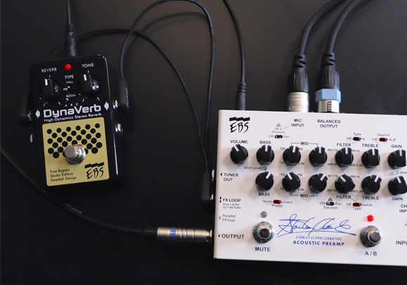 EBS STANLER CLARKE SIGNATURE PREAMP エフェクトループとチューナーアウト