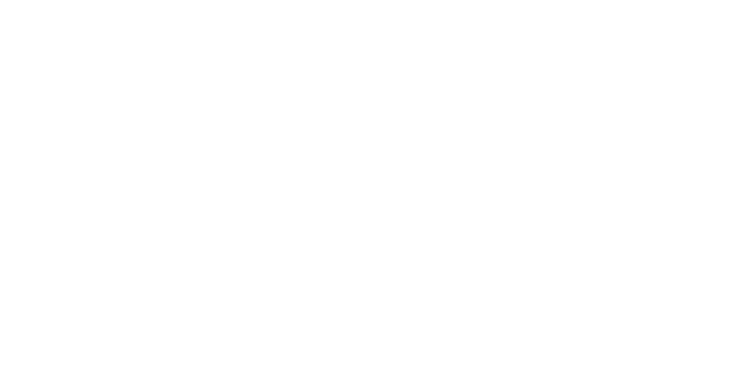 EBS Professional Bass Equipment