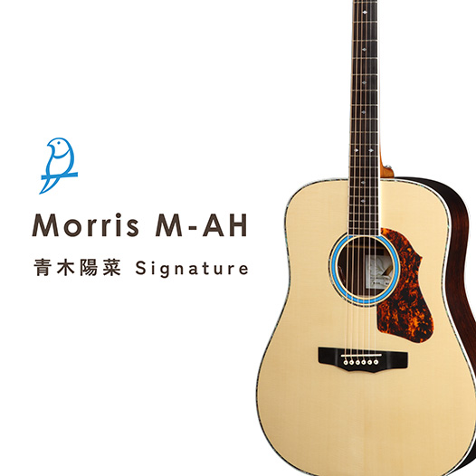Morris 青木陽菜シグネチャーモデル 発売決定！