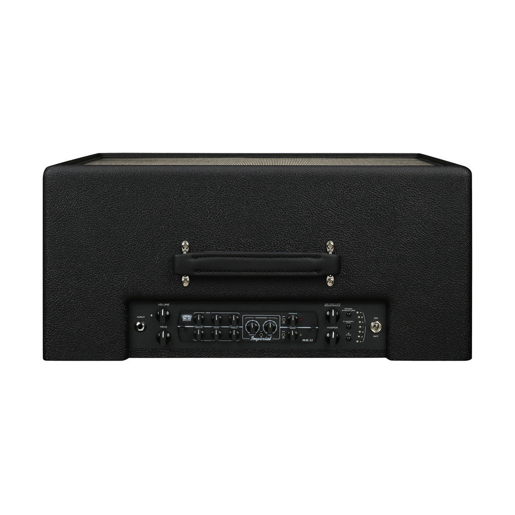 SYNERGY(シナジー)SYN-20IR 1×12 COMBO AMP 上面・モジュールセット例